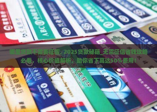 哪里贷款不需要征信