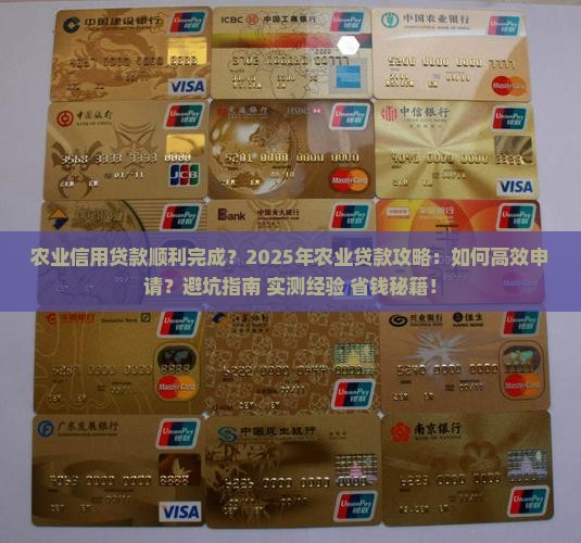 农业信用贷款顺利完成