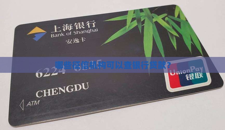 哪些贷款机构可以查征信