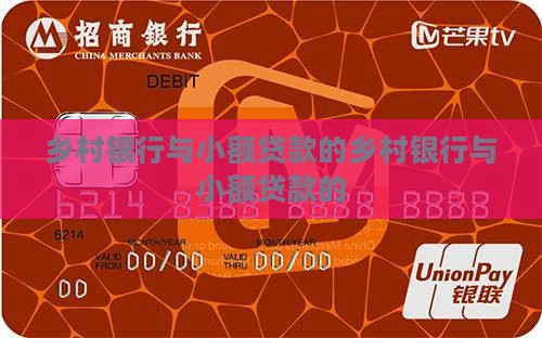 乡村银行与小额贷款的