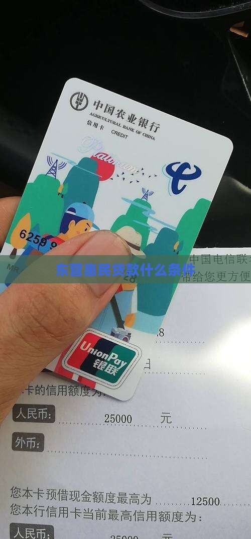 东营银行惠民贷款条件