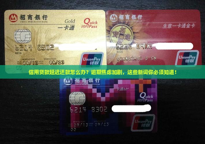 信用贷款延迟还款