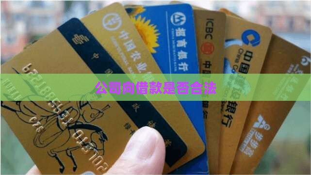公司向法人贷款合法吗