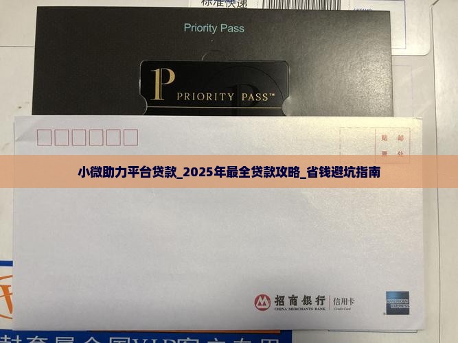 小微助力平台贷款