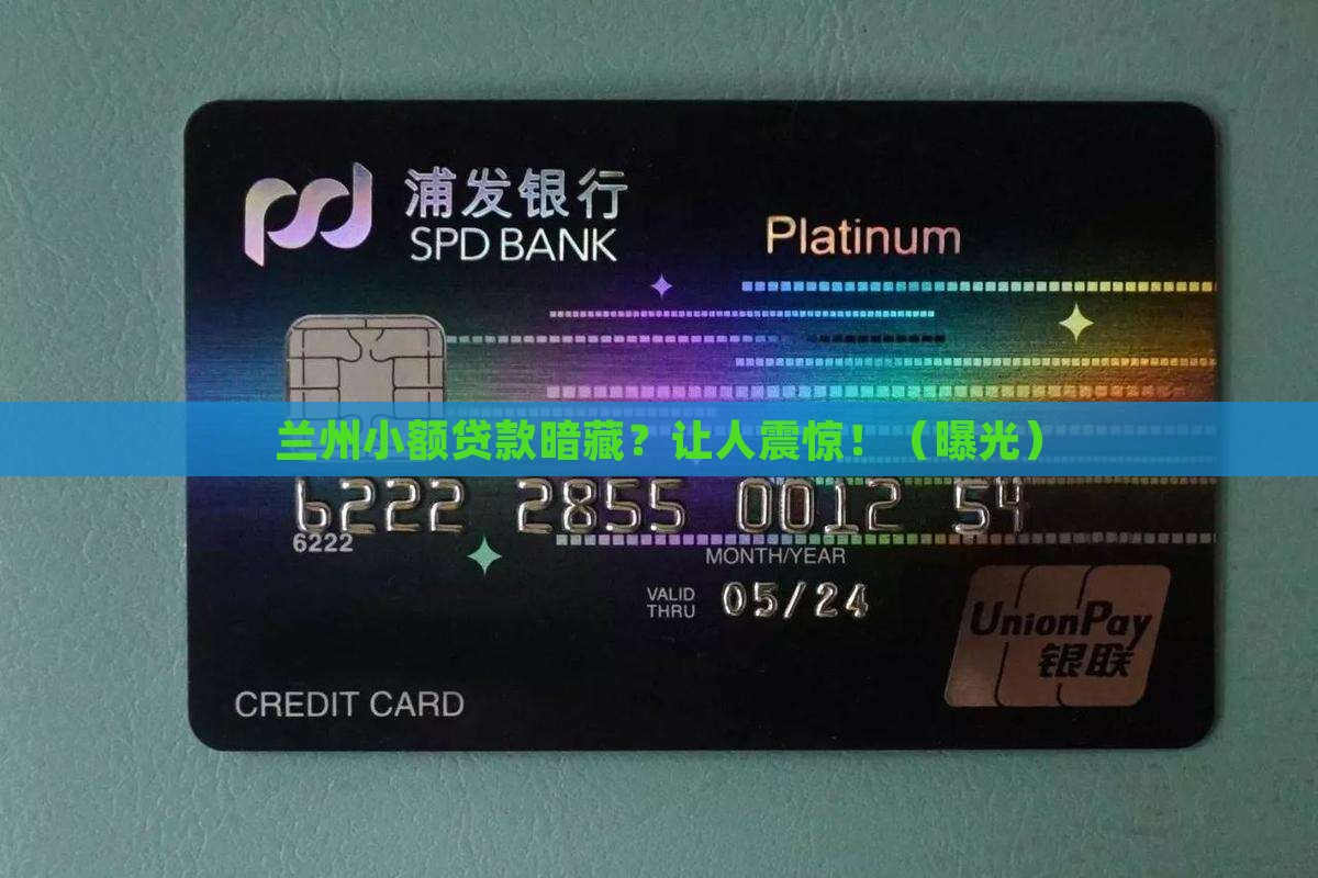 兰州小额贷款事件