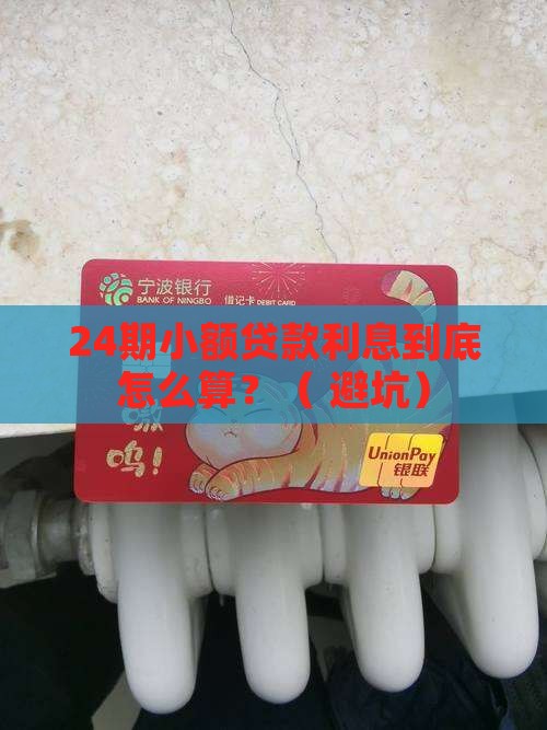 银行24期小额贷款利息