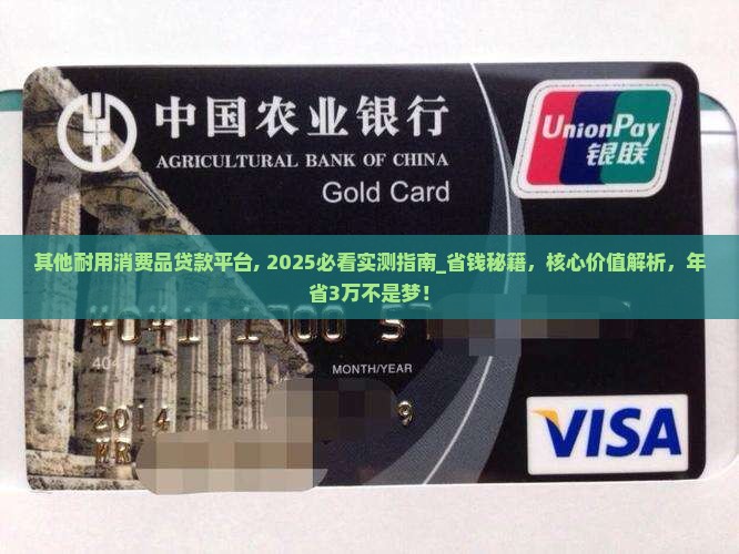 其他耐用消费品贷款平台