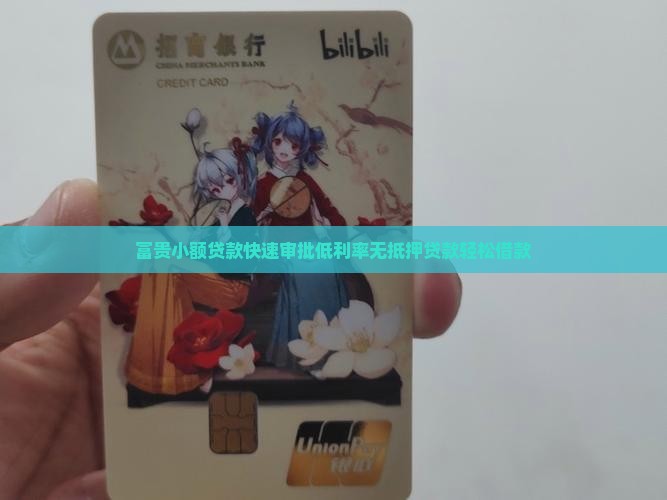 富贵小额贷款