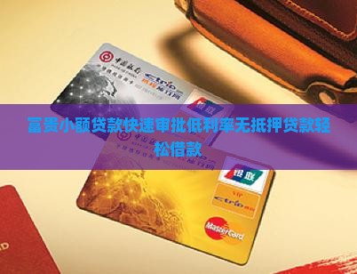 富贵小额贷款