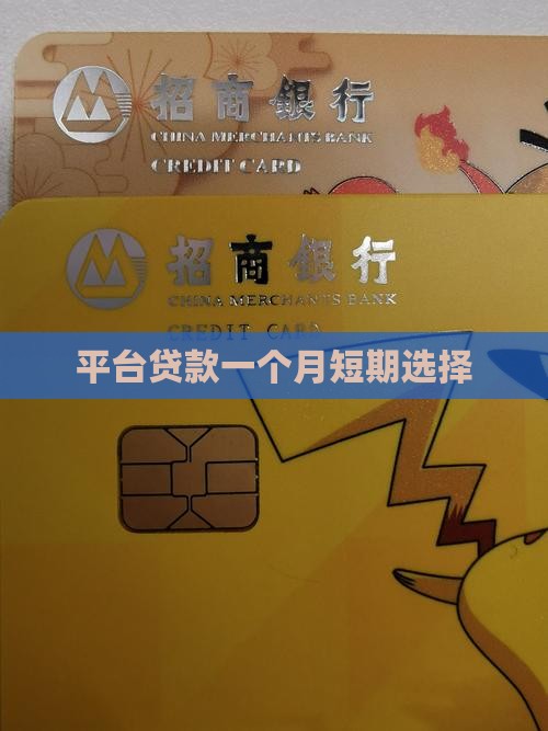 什么平台可以贷款1个月