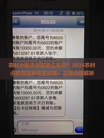 农村小额贷款需要立项吗
