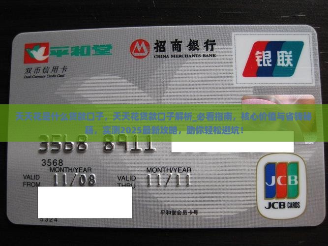 天天花是什么贷款口子