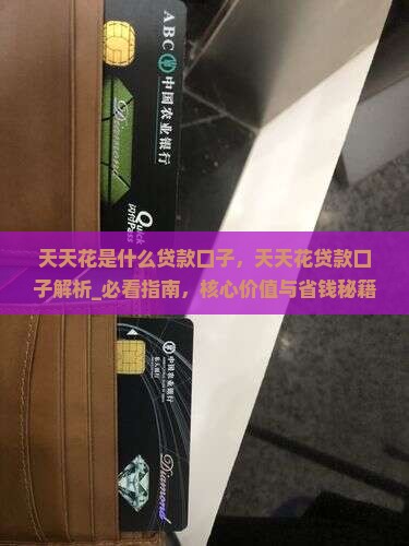 天天花是什么贷款口子