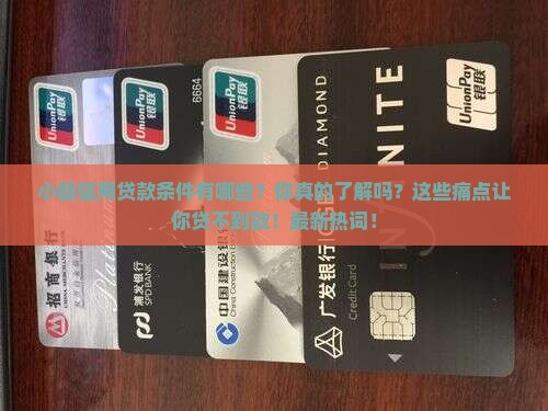 小额信用贷款条件有哪些