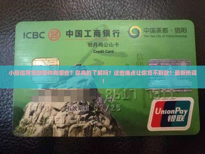 小额信用贷款条件有哪些
