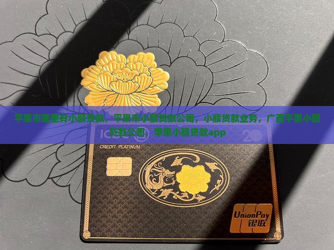平果市哪里有小额贷款
