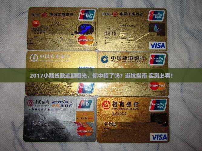 2017小额贷款逾期