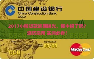2017小额贷款逾期