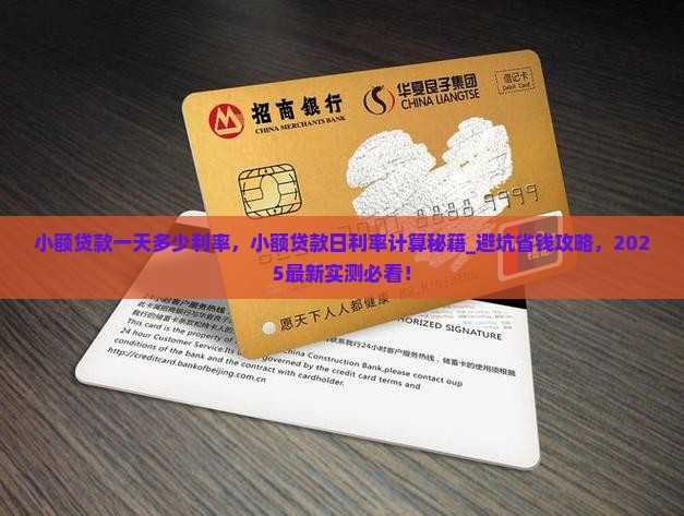 小额贷款一天多少利率