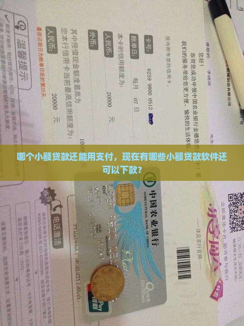哪个小额贷款还能用