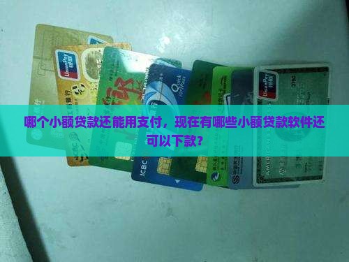 哪个小额贷款还能用