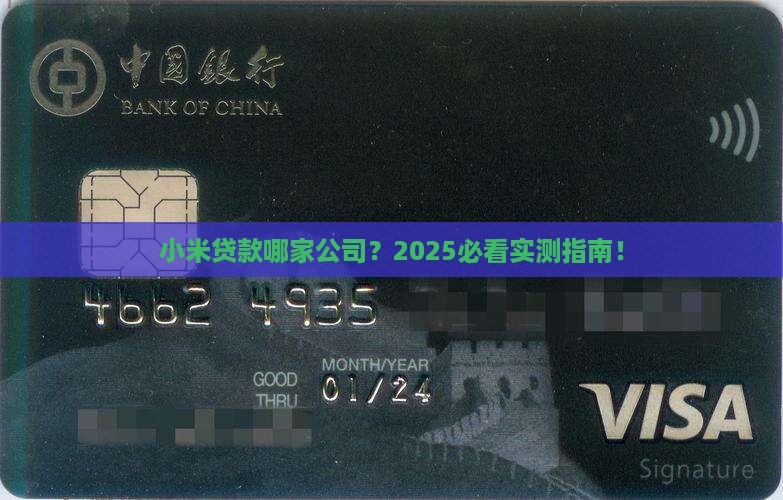 小米贷款什么公司