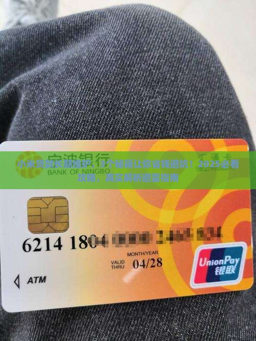 小米贷款长期维护