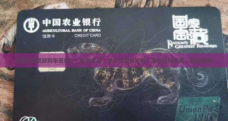 公司前期贷款利率是多少