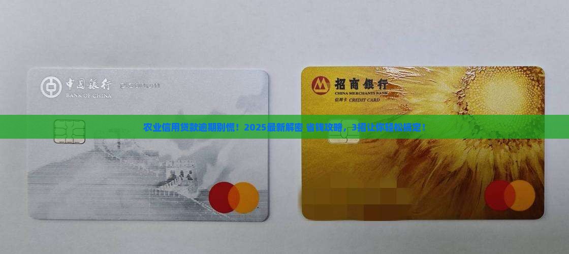 农业信用贷款逾期怎么办