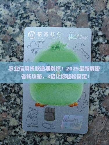 农业信用贷款逾期怎么办