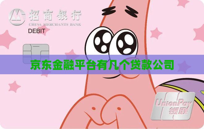 京东贷款平台有几个公司