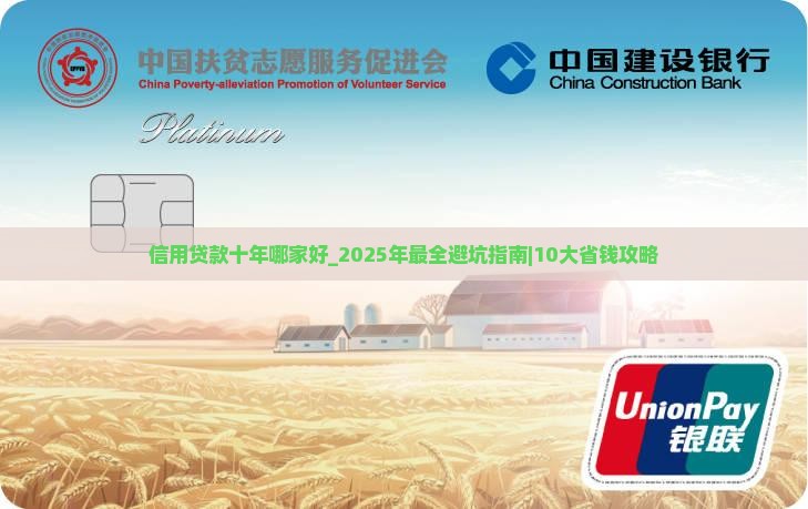 信用贷款十年哪家好