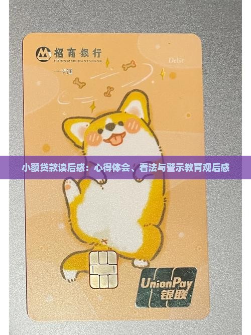 小额贷款读后感