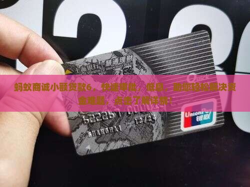 蚂蚁商诚小额贷款6