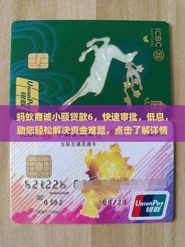 蚂蚁商诚小额贷款6
