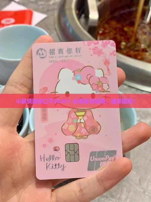 小额贷款新得口子