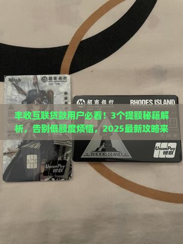 丰收互联贷款怎么提额