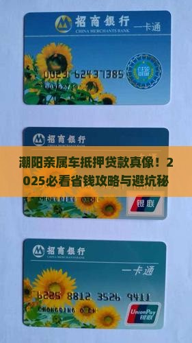 潮阳亲属车抵押贷款公司