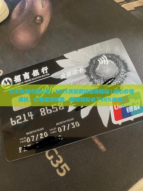 力天贷款代理公司
