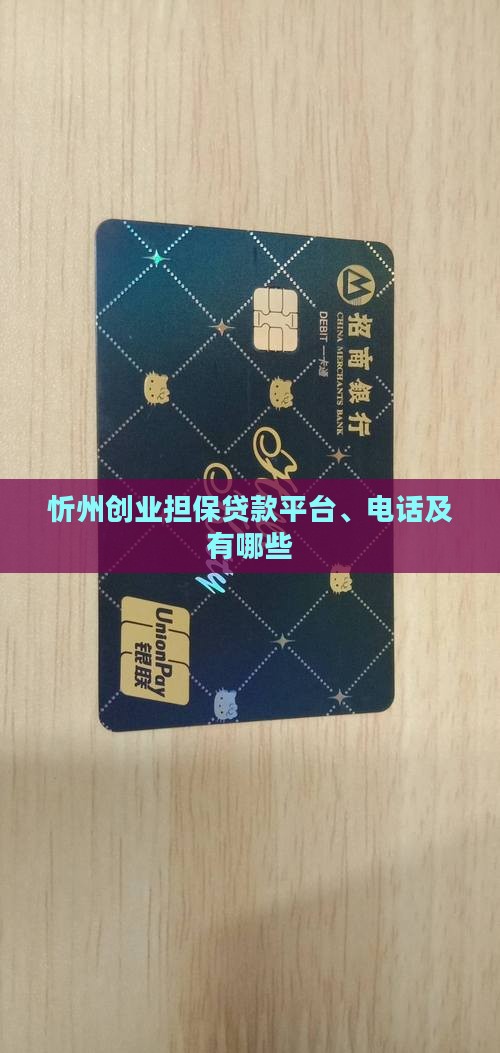 忻州创业担保贷款平台