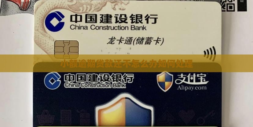 小额贷款逾期如何办