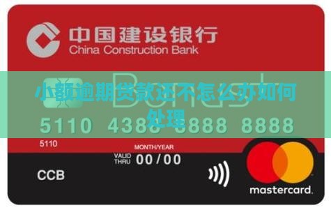 小额贷款逾期如何办