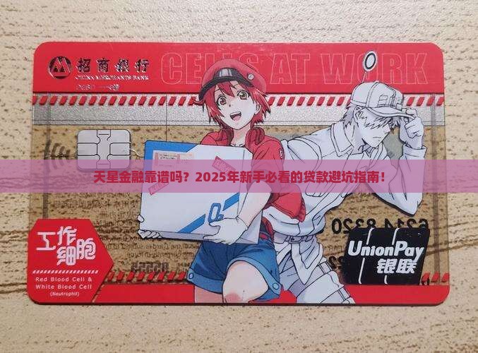 天星金融属于小额贷款吗