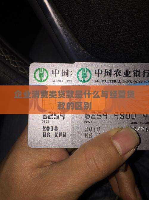 企业消费类贷款是什么