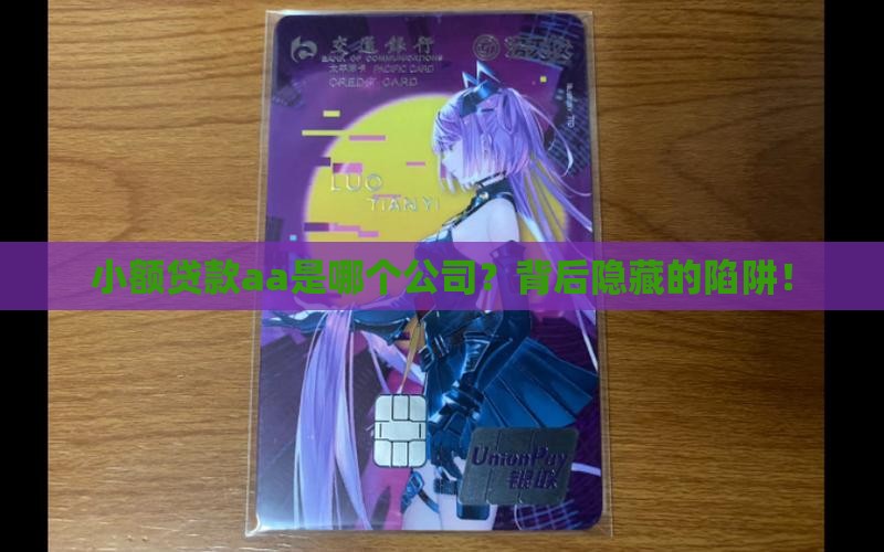 小额贷款aa是哪个公司