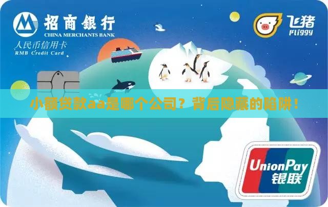 小额贷款aa是哪个公司
