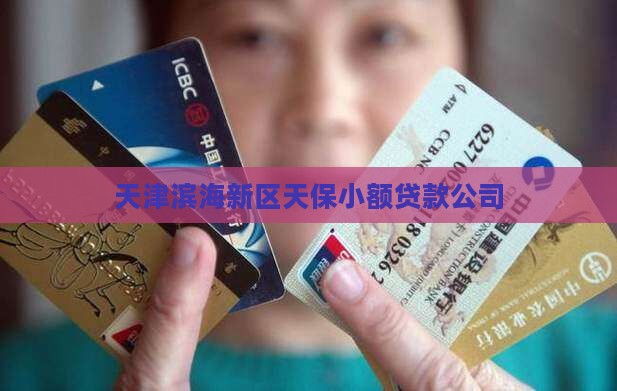 天津滨湖新区小额贷款