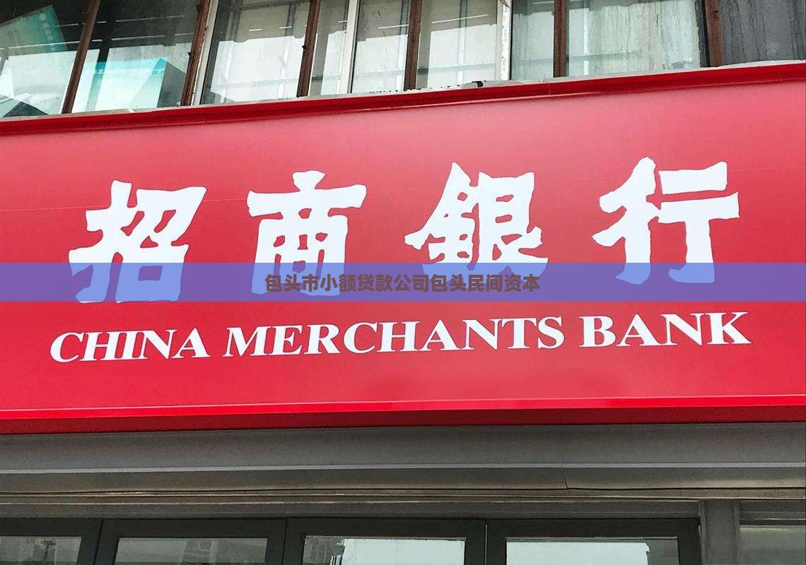 包头民间资本小额贷款