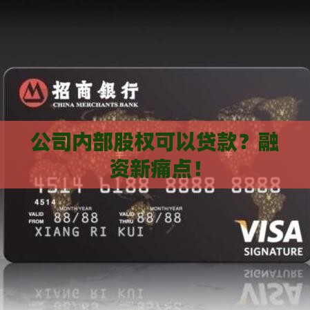 公司内部股权可以贷款 公司内部股权可以贷款