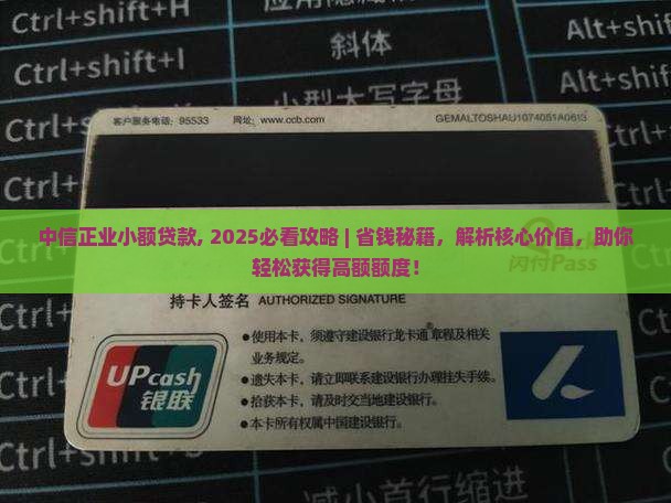 中信正业小额贷款